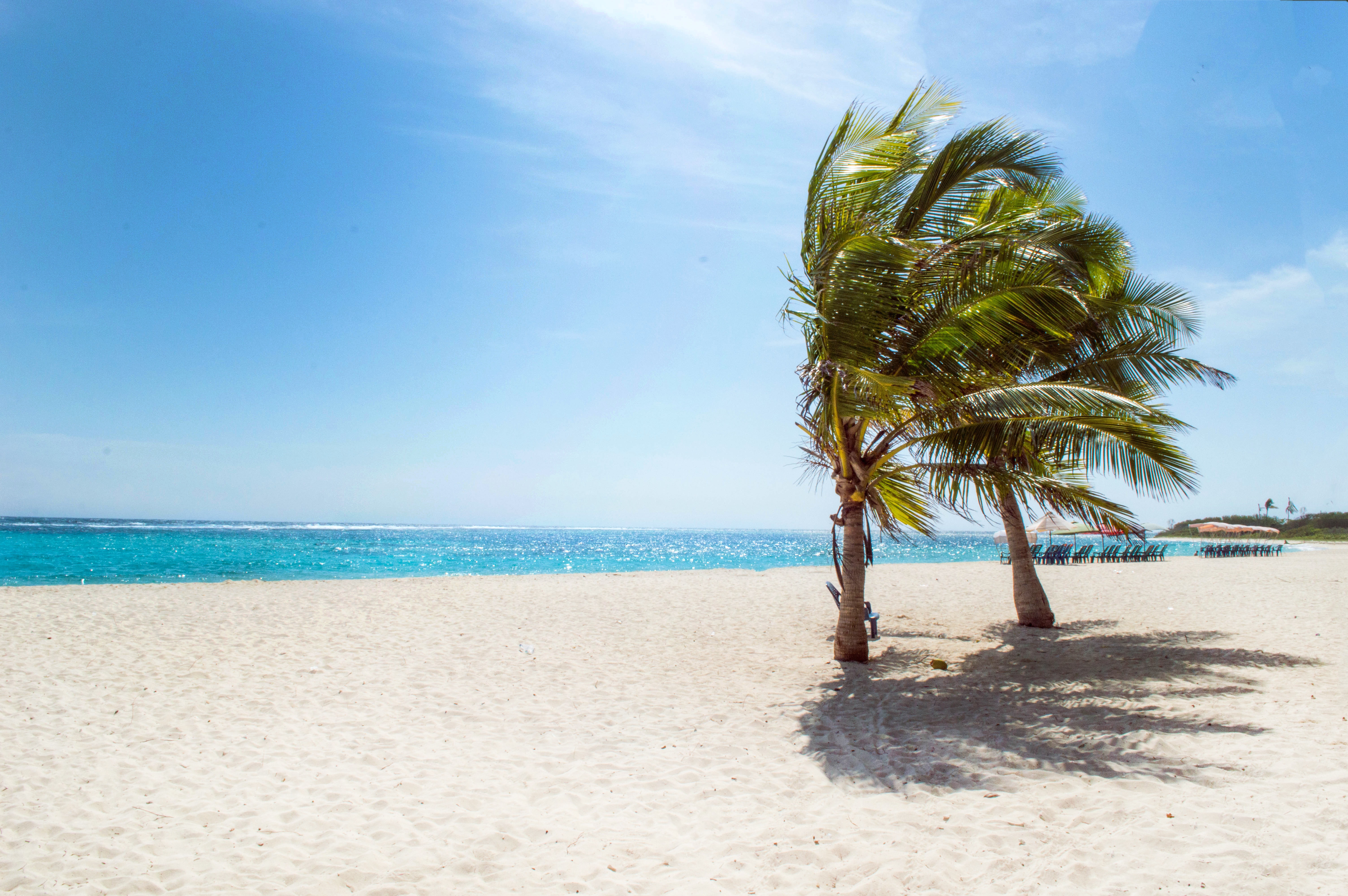 Playa de Bahamas